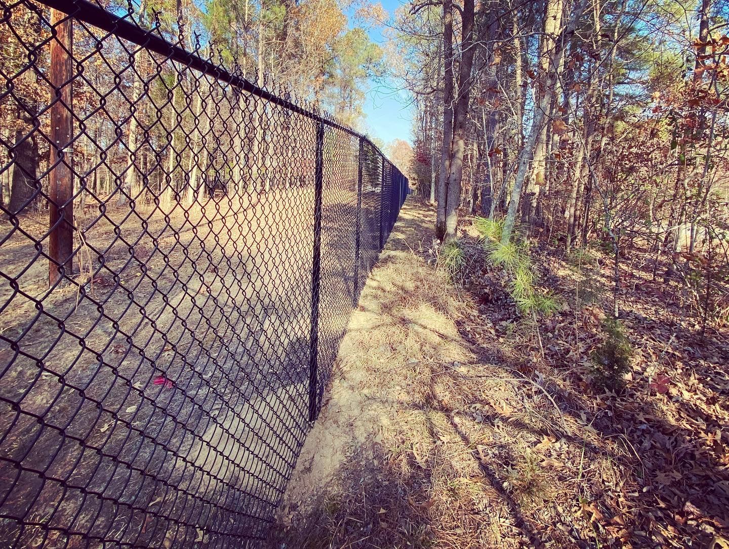 A chain link fence surrounds a path in the woods.