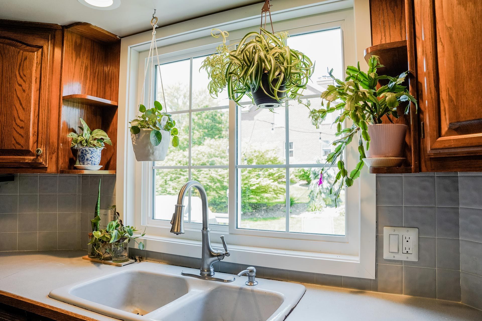 Kitchen sink with plants in front of a window, cabinets above. Light streams in; greenery visible outside.