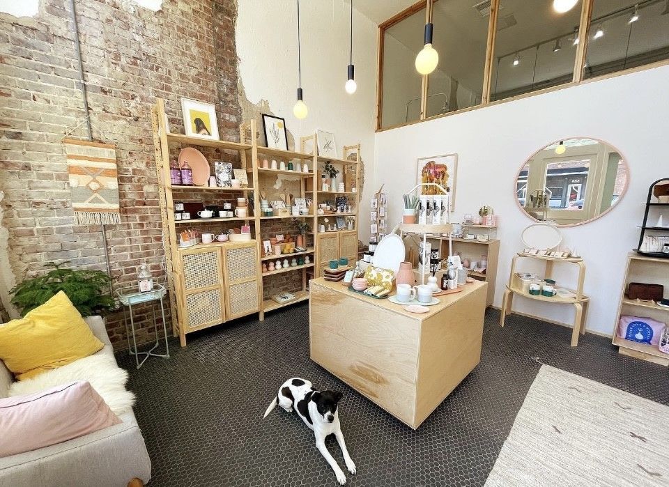 Dog relaxing in a retail shop with shelves of products and exposed brick wall.