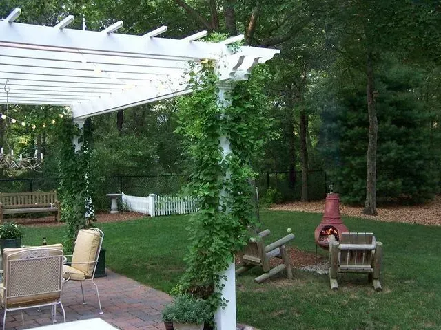 A white pergola with climbing vines stands over a brick patio with patio furniture, overlooking a green backyard lawn.