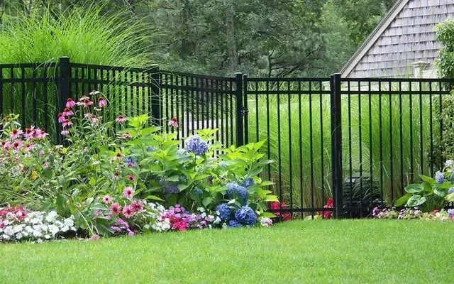 A black metal fence stands behind a vibrant garden bed filled with pink and blue flowers, tall grasses, and a lawn.
