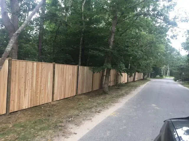 A new wooden privacy fence runs along the edge of a paved road beside a line of trees.