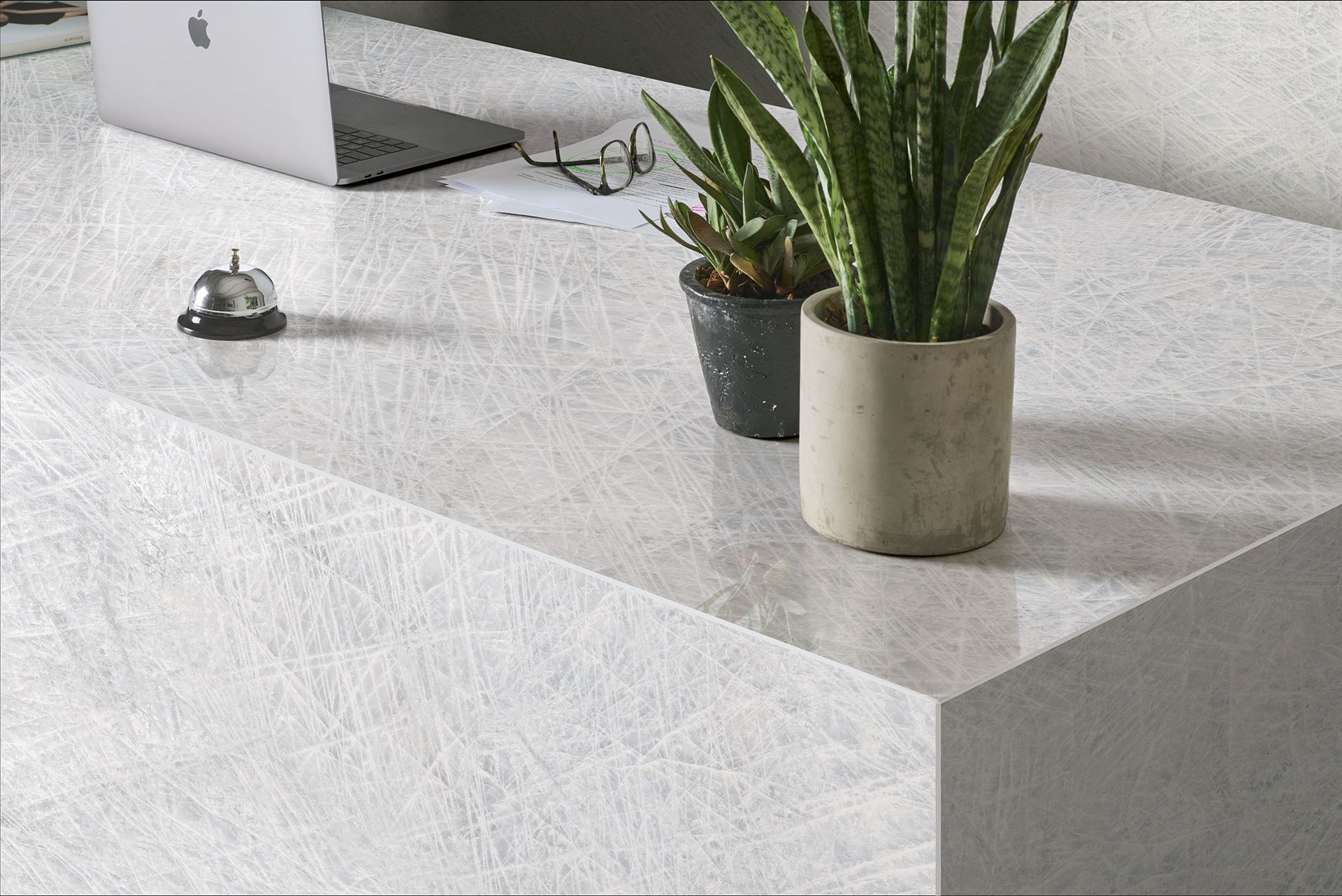 Modern gray stone bench with two potted snake plants on a light concrete floor.