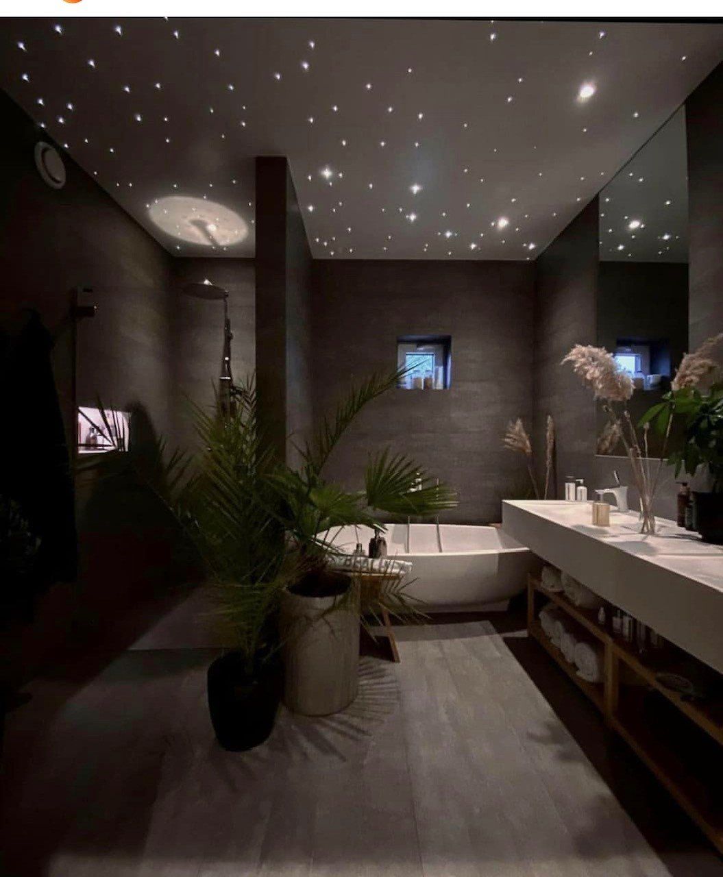 A bathroom with a starry ceiling and a bathtub