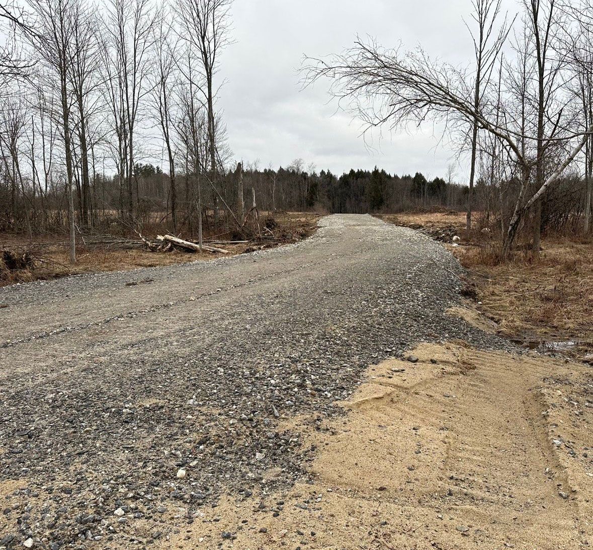 A gravel road going through a forest with trees on both sides