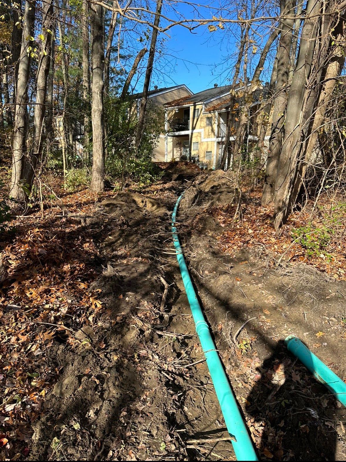 A dog is standing next to a green pipe in the woods