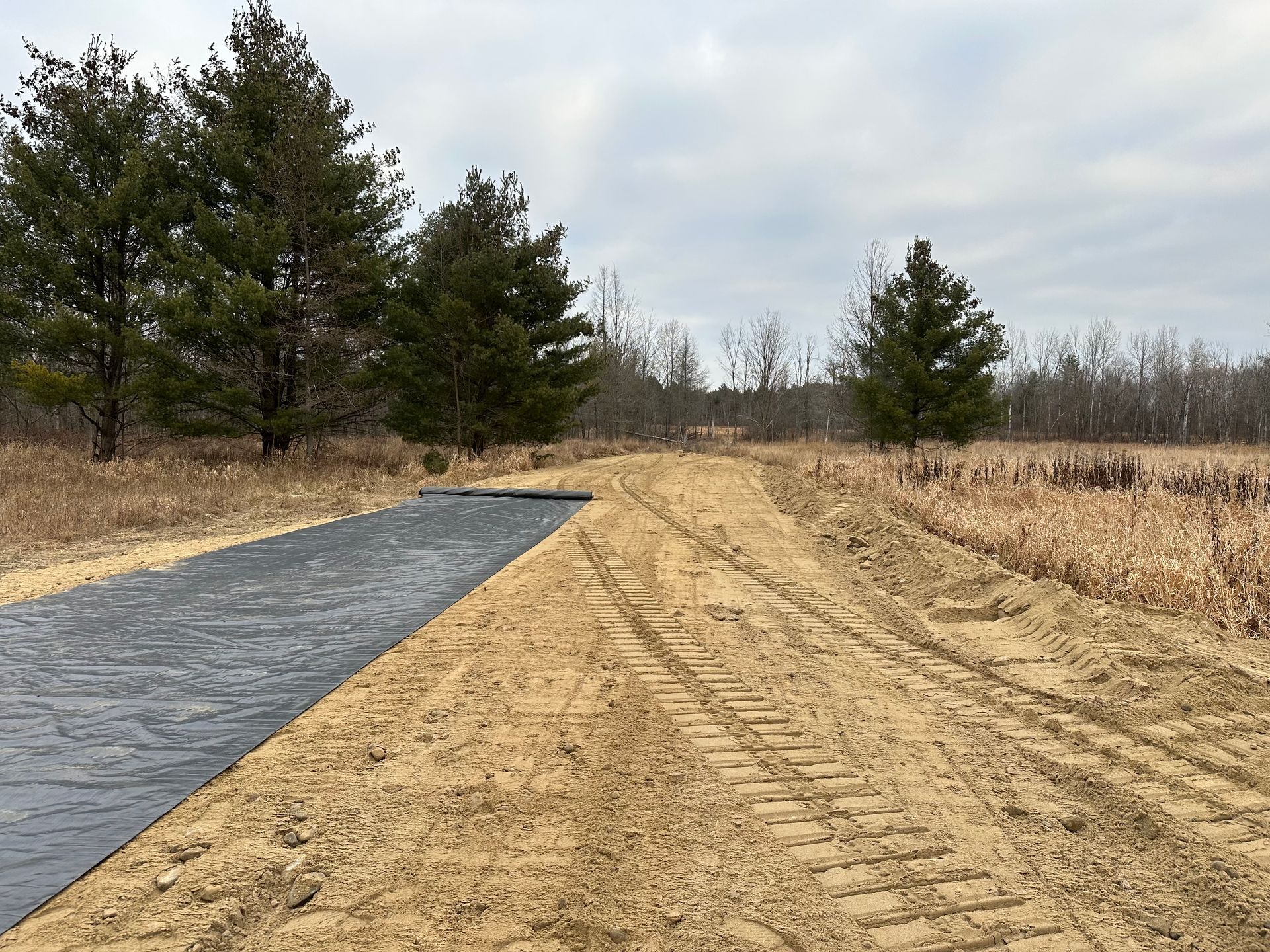A dirt road going through a field with trees in the background