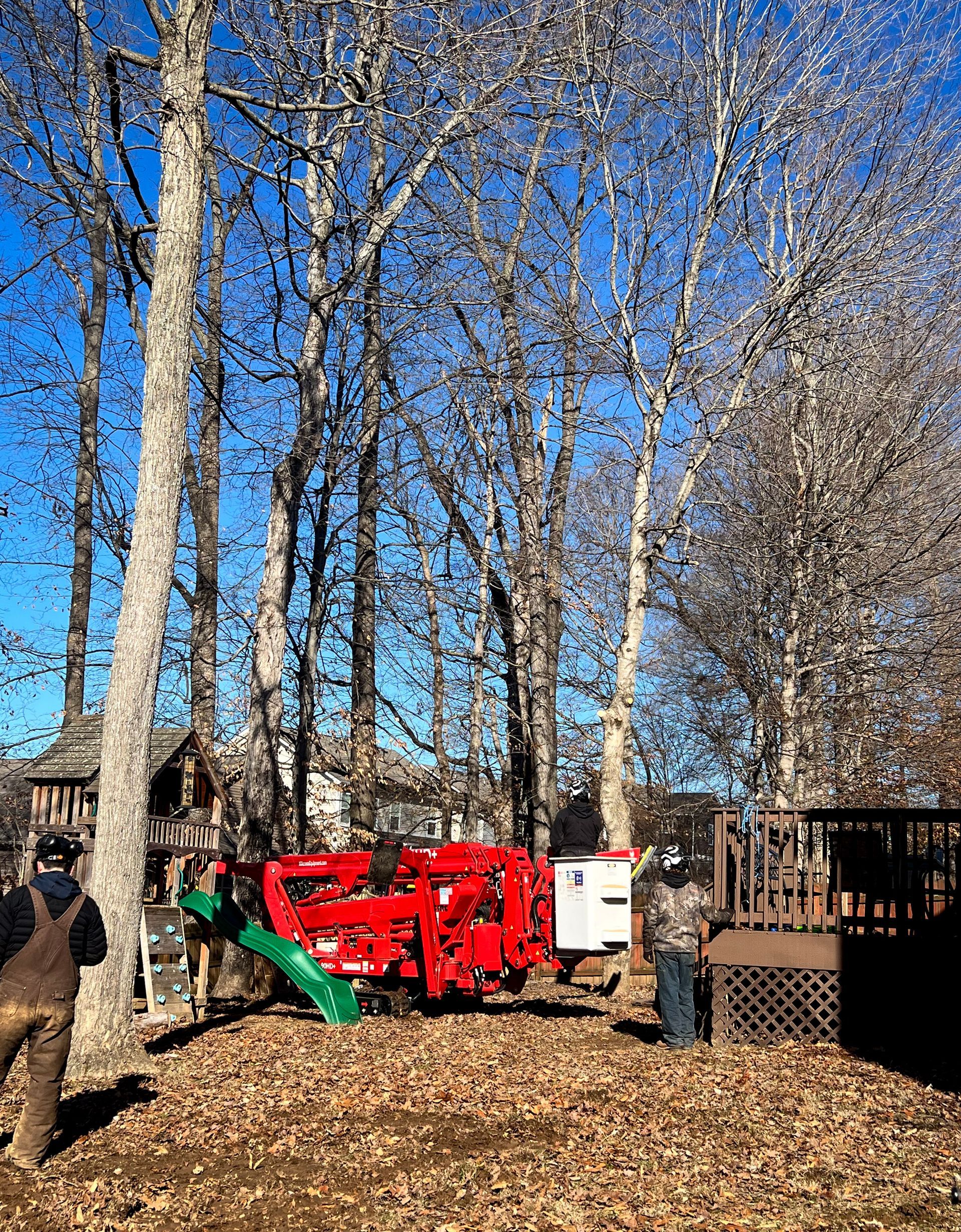 A red crane is cutting a tree in a park.