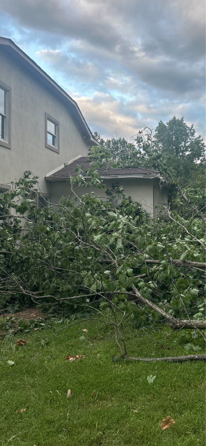 A tree that has fallen in front of a house.