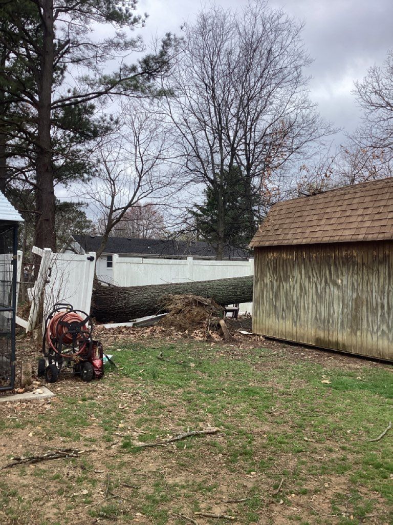A backyard with a shed and a tractor in the grass.