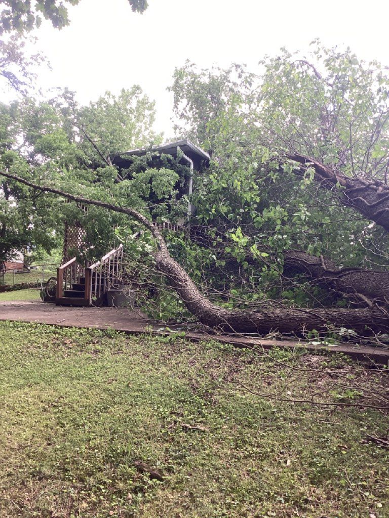 A large tree has fallen on top of a house.