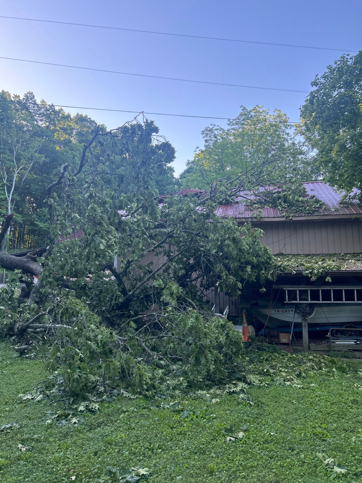 A tree that has fallen in front of a house.