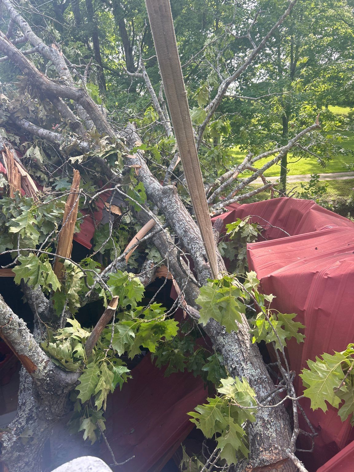 A pile of branches and leaves laying on top of a red boat.