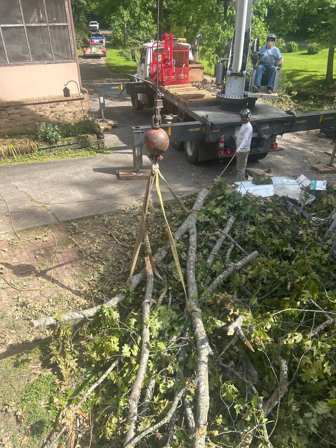 A crane is lifting a tree branch in a driveway.