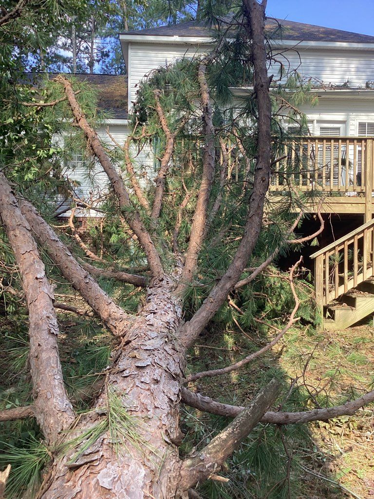 A fallen tree in front of a house with a deck.