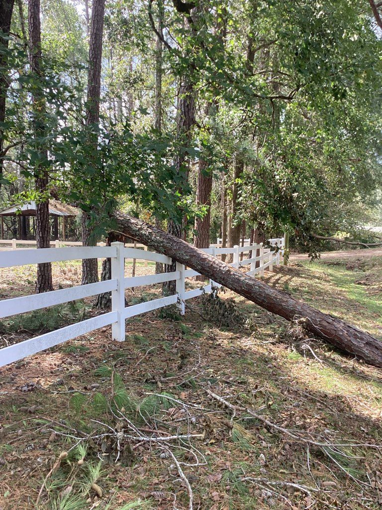 A tree has fallen on a white fence.