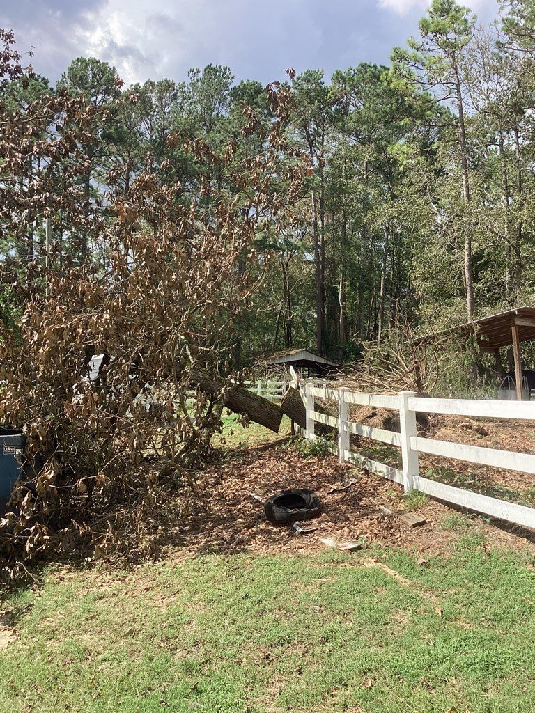 A fallen tree in a field next to a white fence.