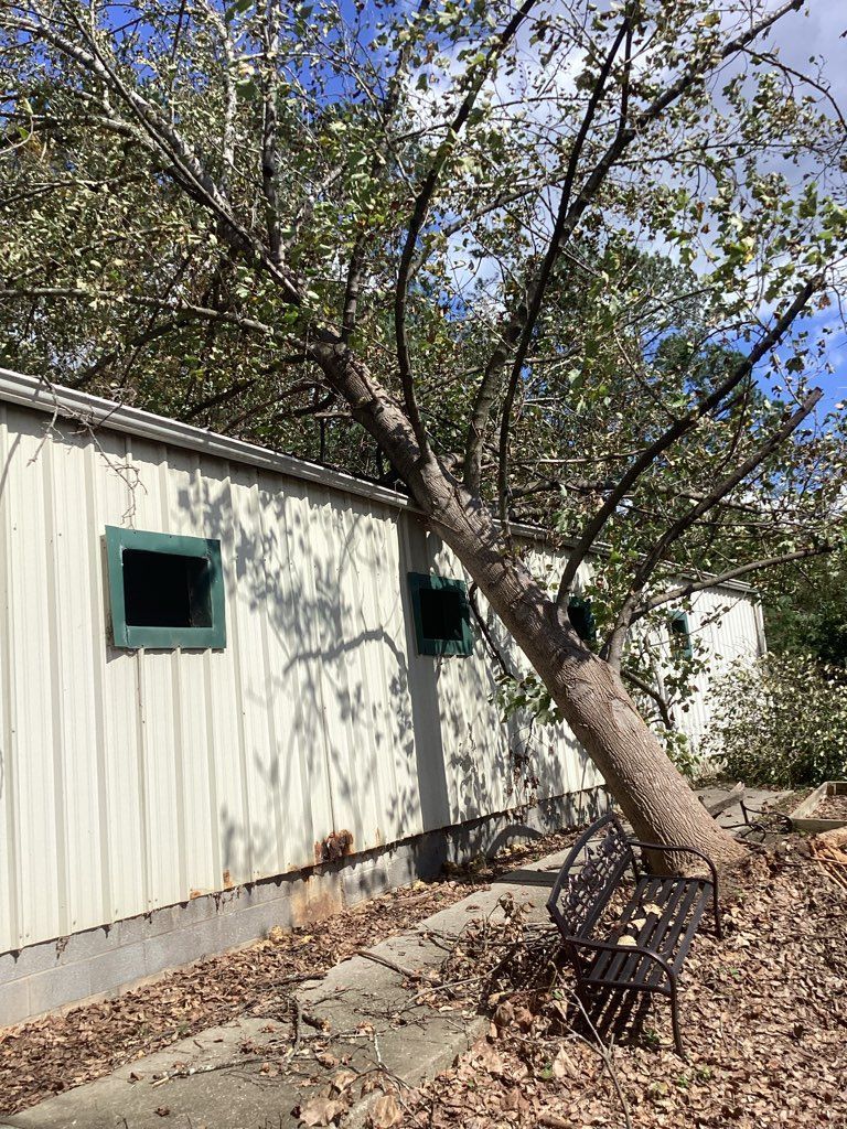 A tree has fallen on the side of a building.