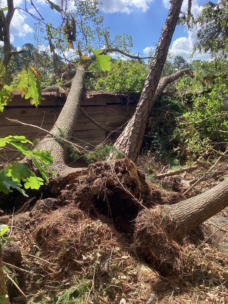 A fallen tree is laying on the ground in a field.