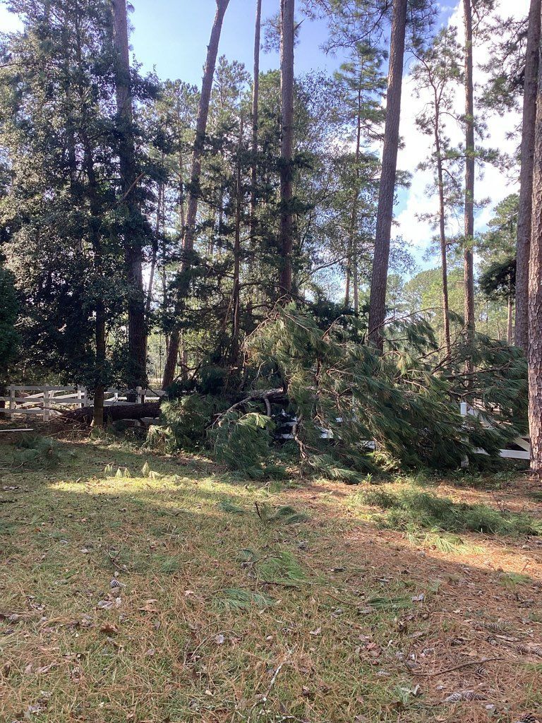 A lot of trees are laying on the ground in a yard.