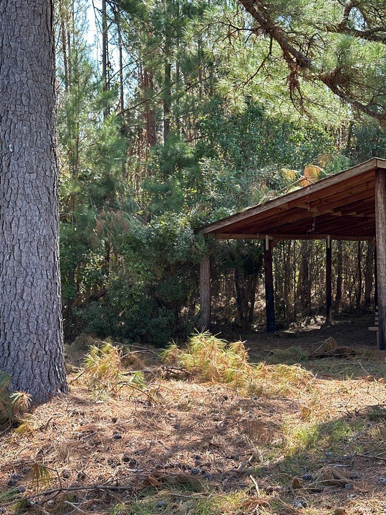 A wooden shelter in the middle of a forest with trees in the background.