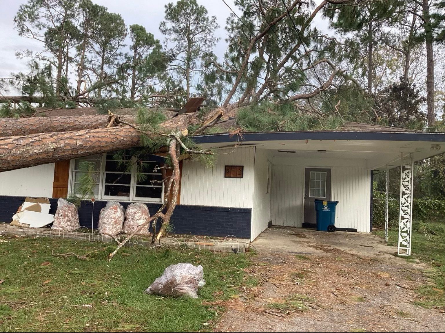 A house with a tree fallen on top of it.