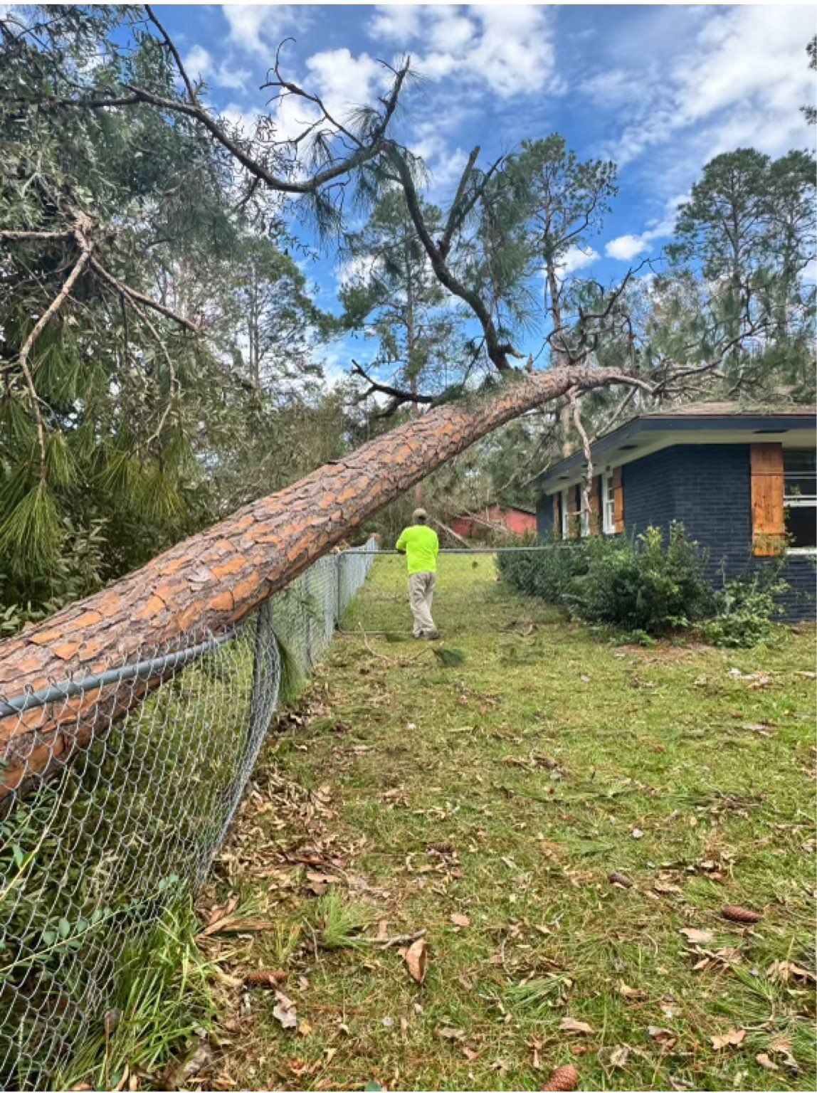 A man is walking in front of a house with a tree fallen on the fence.