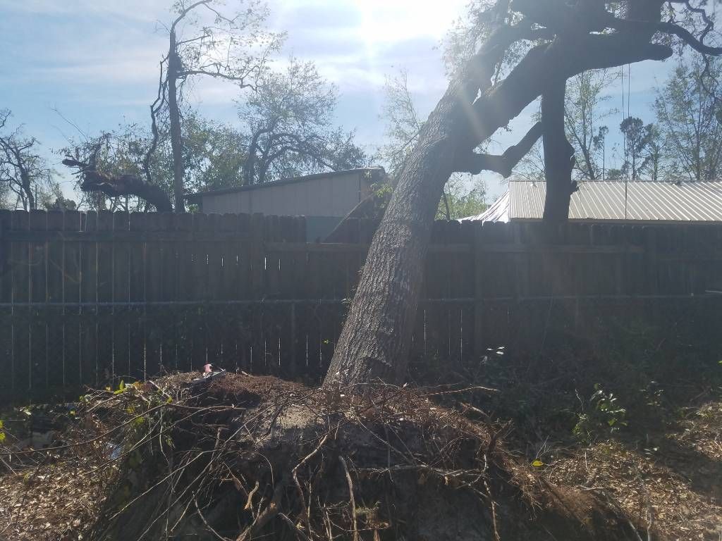 A tree stump is sitting in front of a wooden fence.