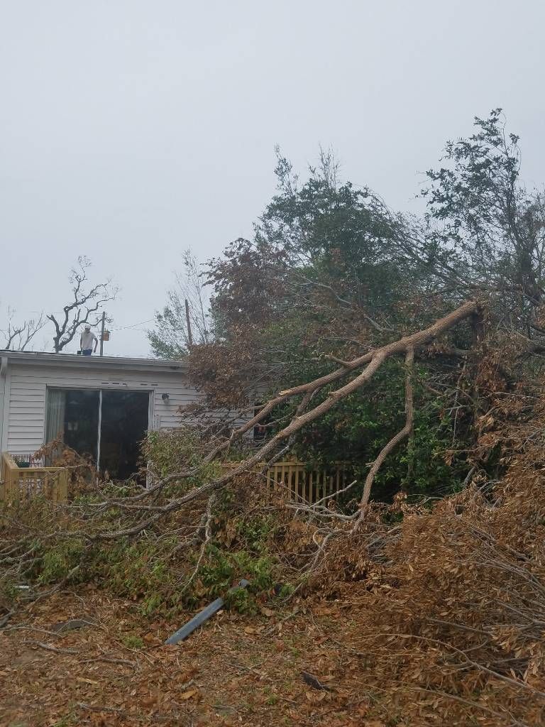 A tree that has fallen in front of a house.