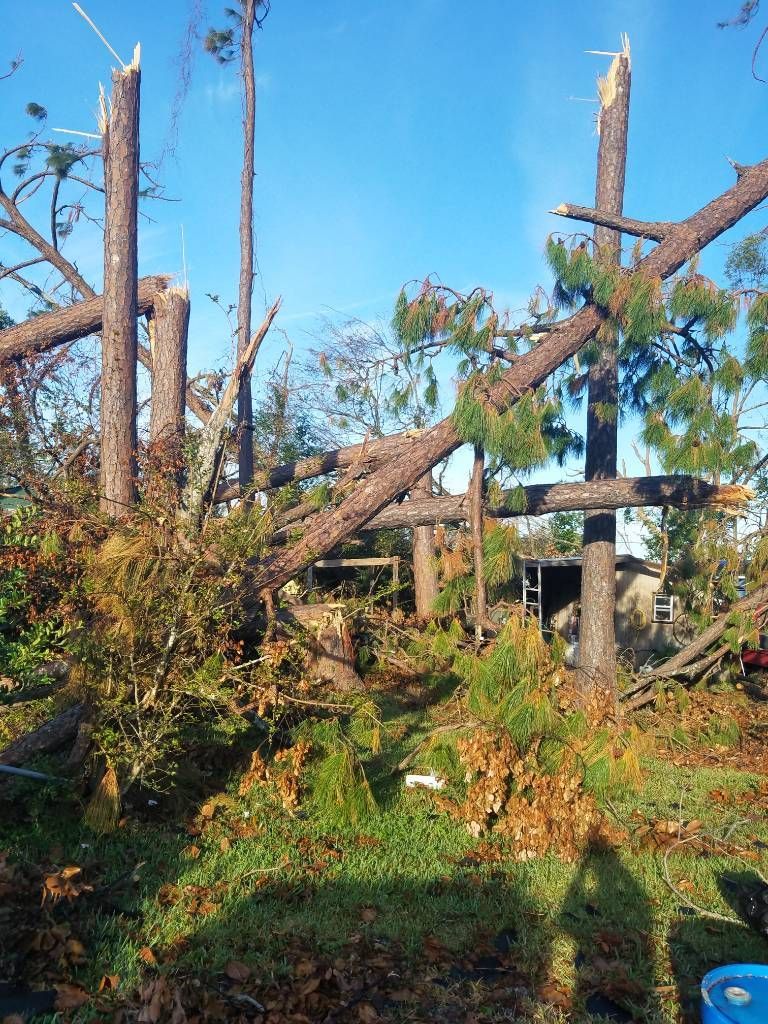 A group of fallen trees in a field with a blue bucket in the foreground.