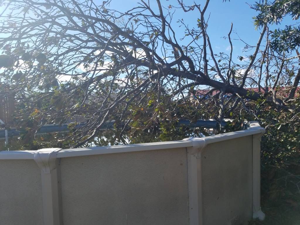 A fence with a tree branch hanging over it