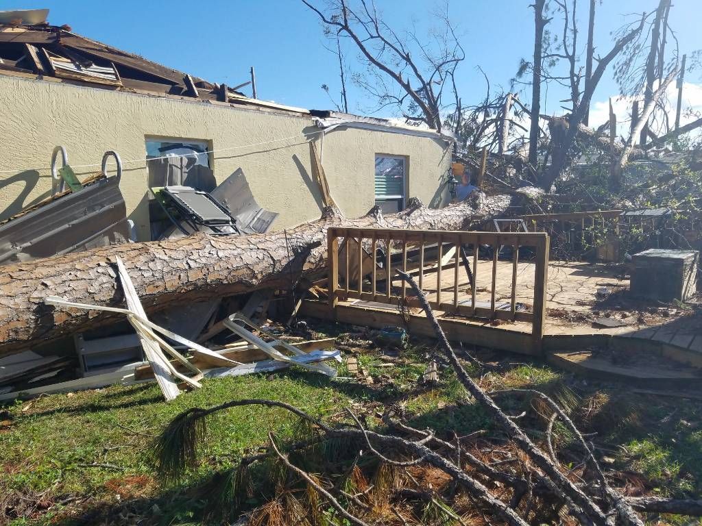 A tree has fallen on the side of a house.