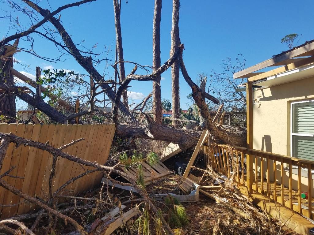 A house with a fallen tree in front of it.