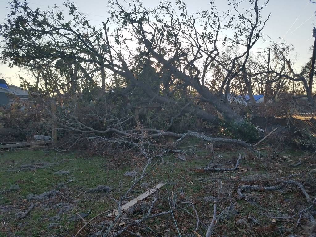 A pile of fallen trees in a field with a house in the background.
