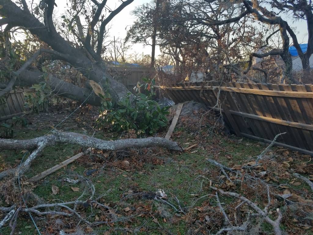 A fallen tree in a yard with a wooden fence in the background.