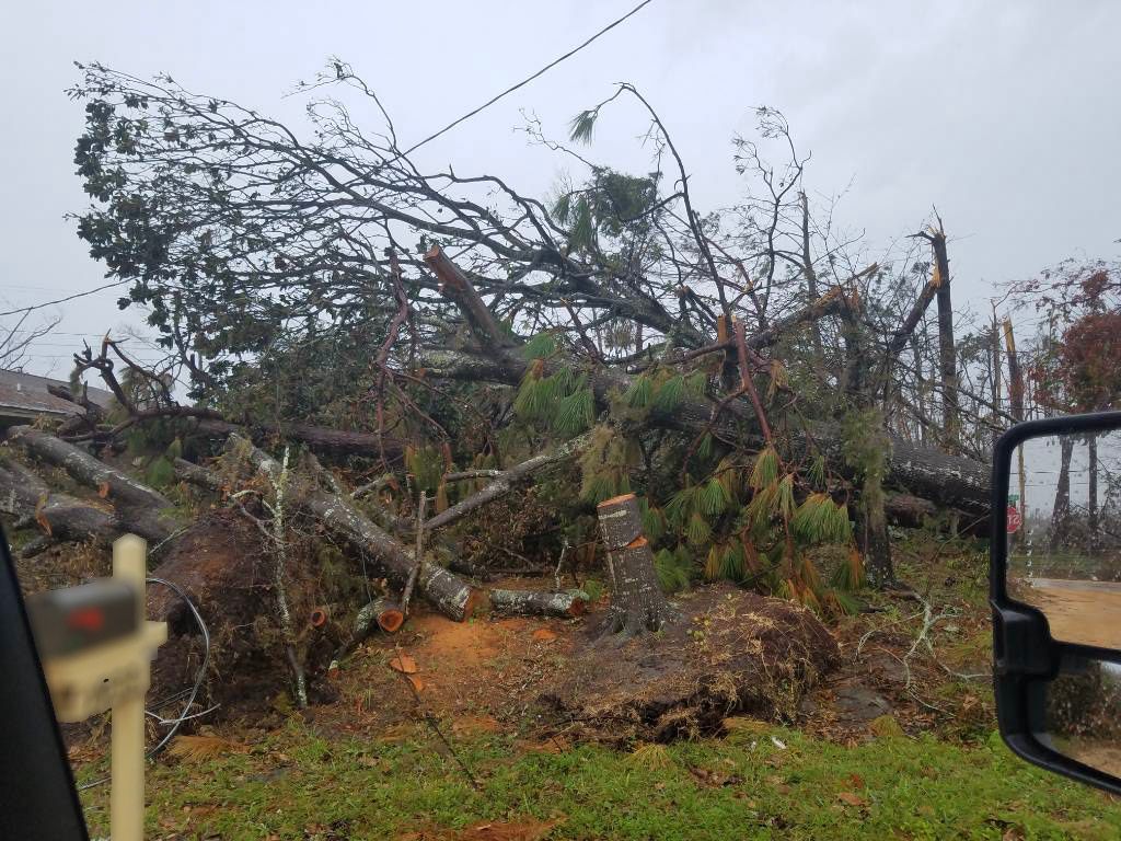 A car is driving down a road next to a pile of fallen trees.