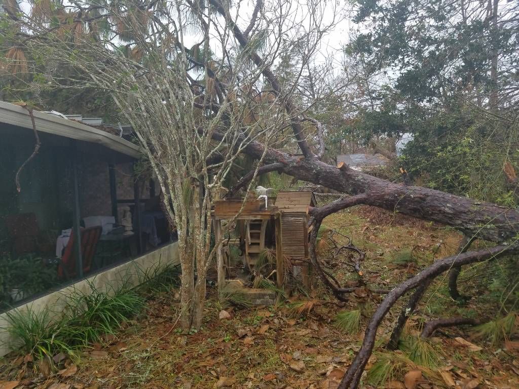 A tree branch is fallen on a house in a yard.