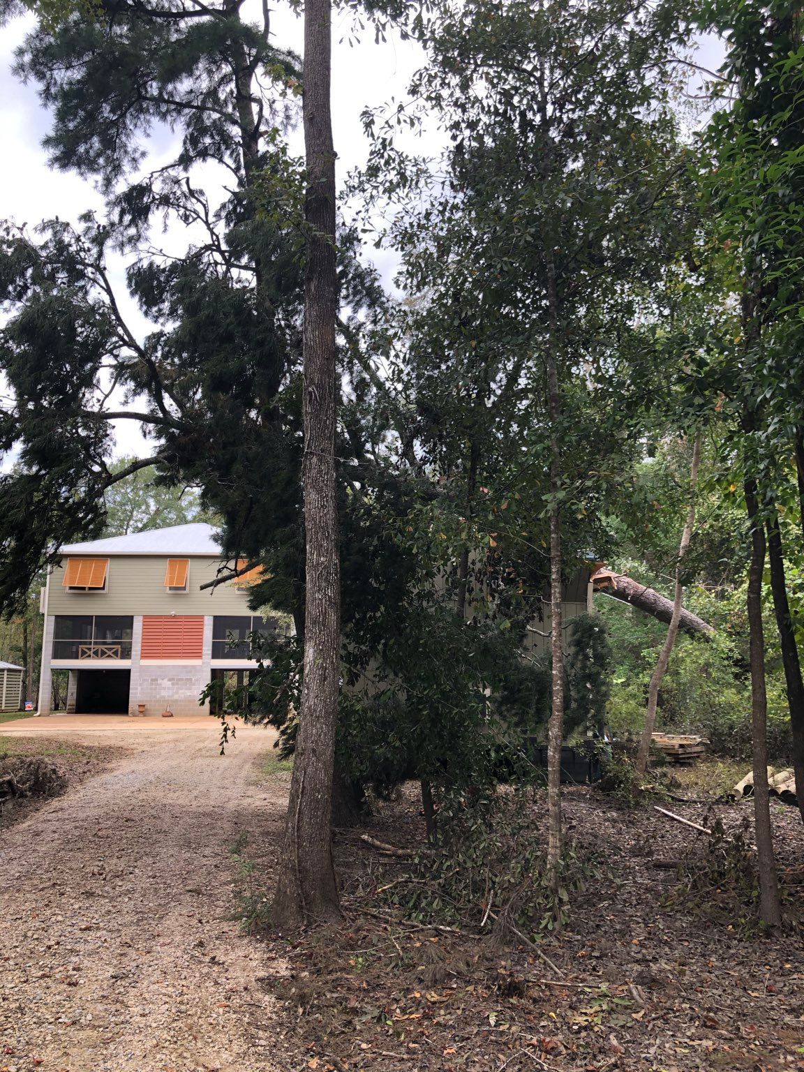 A house is surrounded by trees and a dirt road.