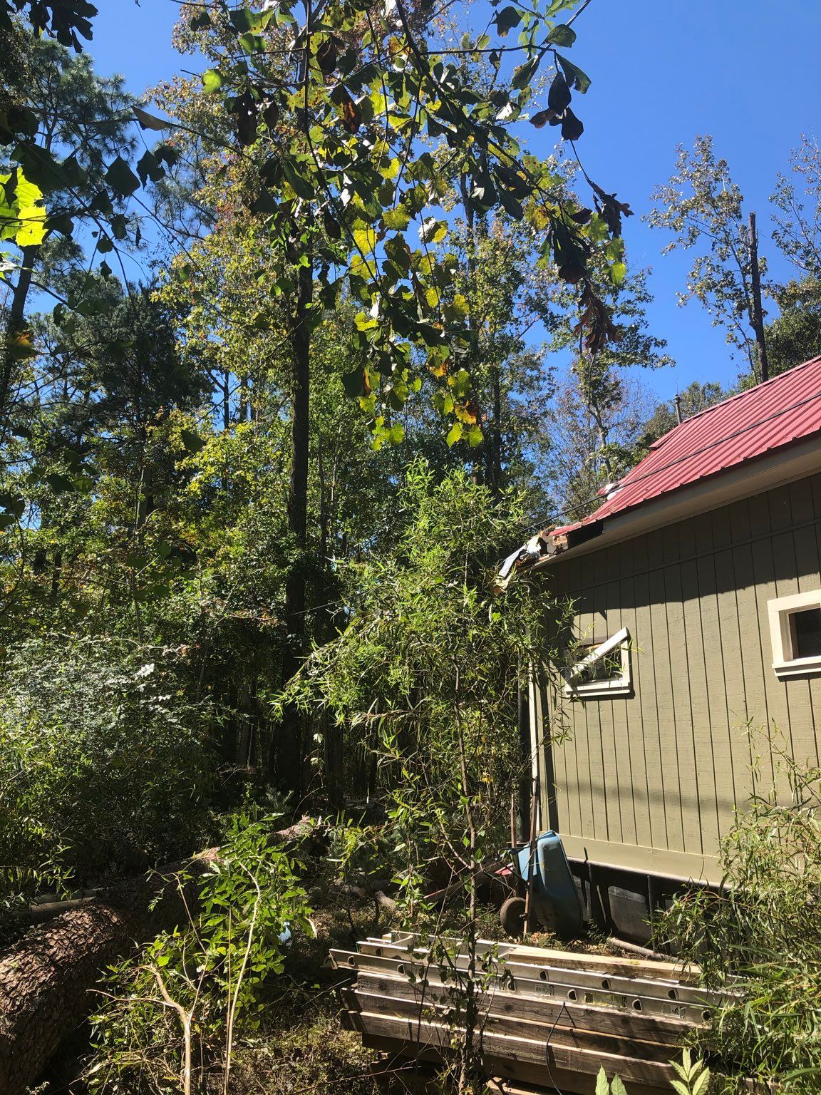 A house with a red roof is surrounded by trees.