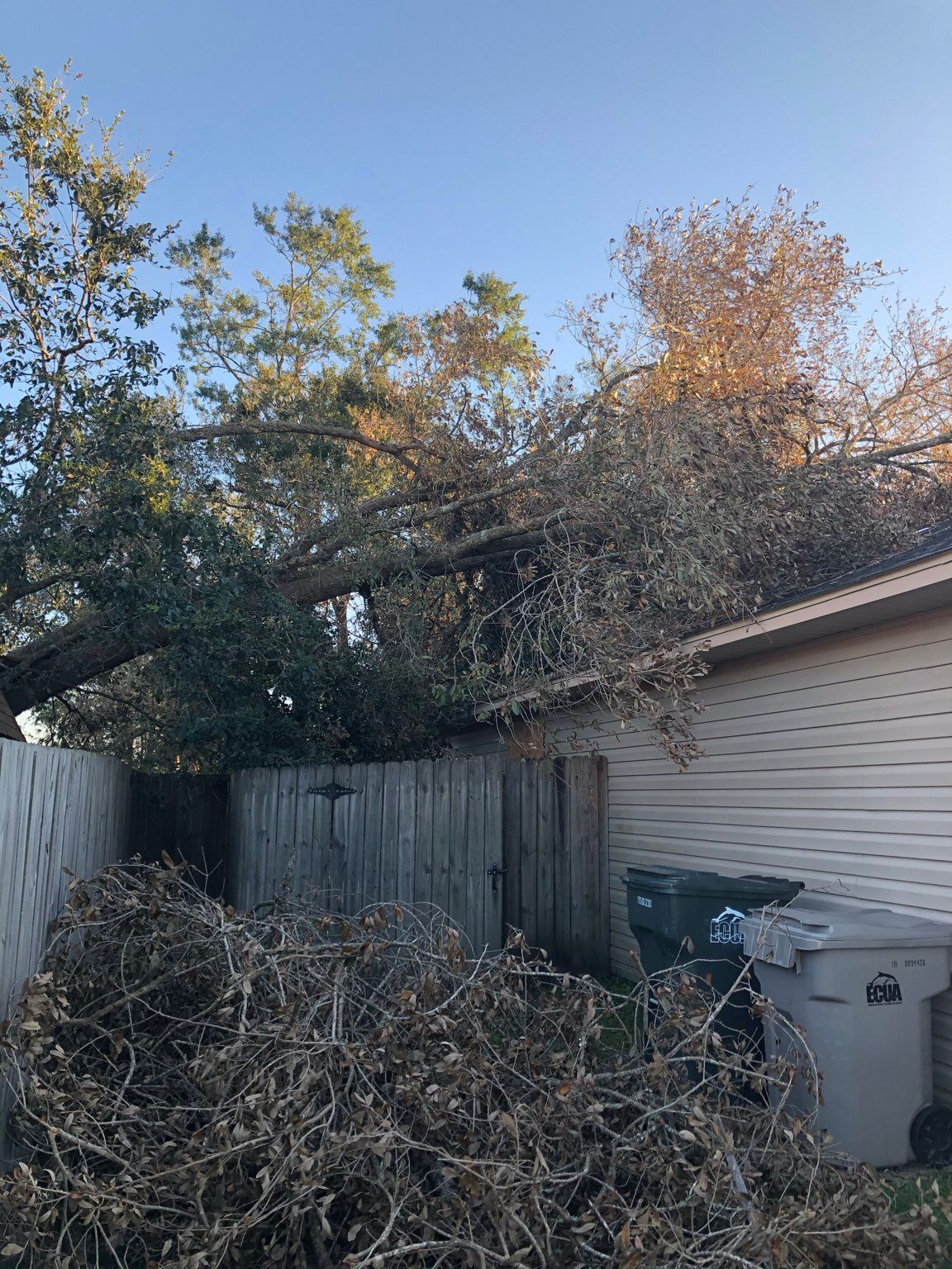 A tree has fallen on the roof of a house.