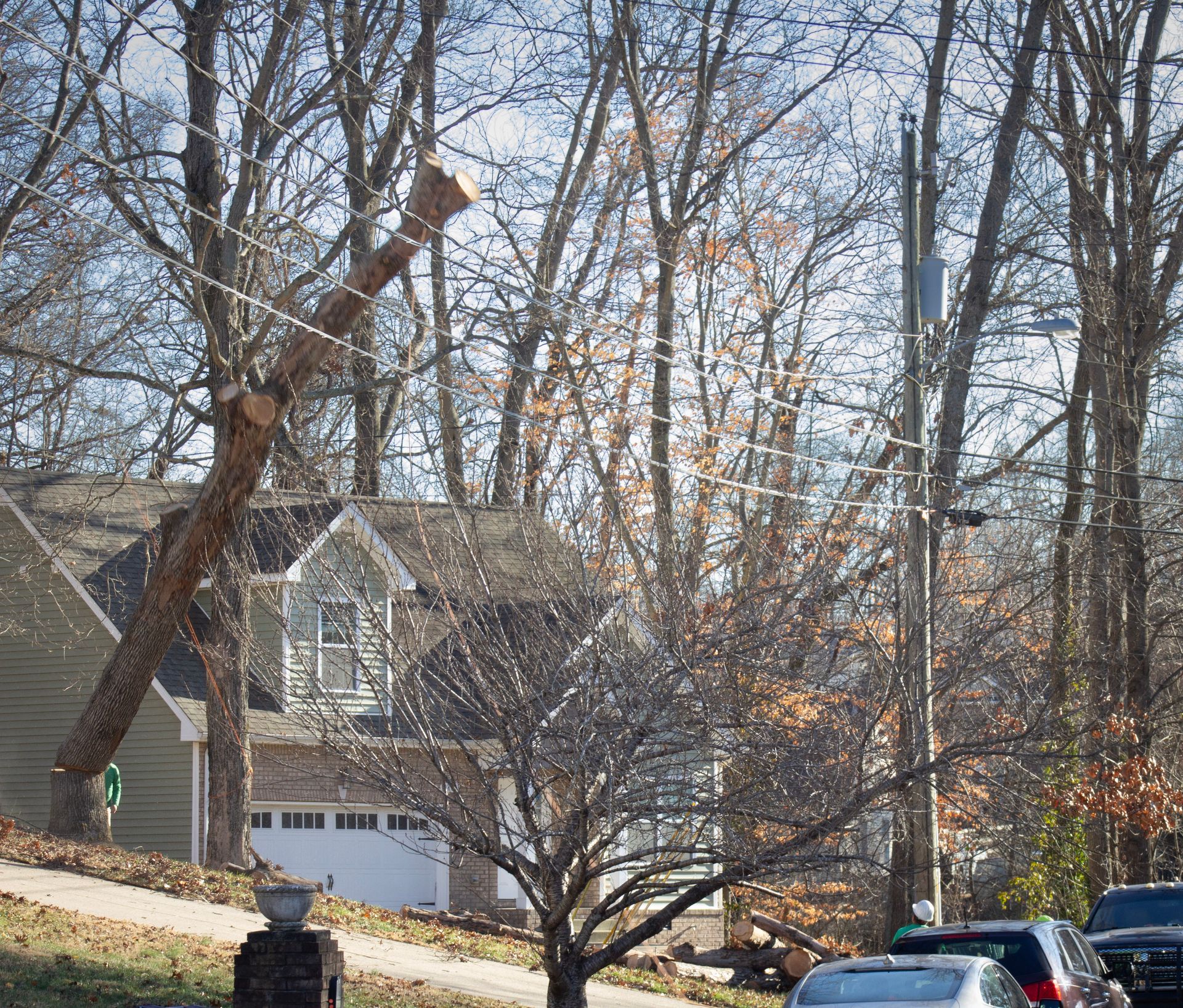 A tree has fallen on a power line in front of a house