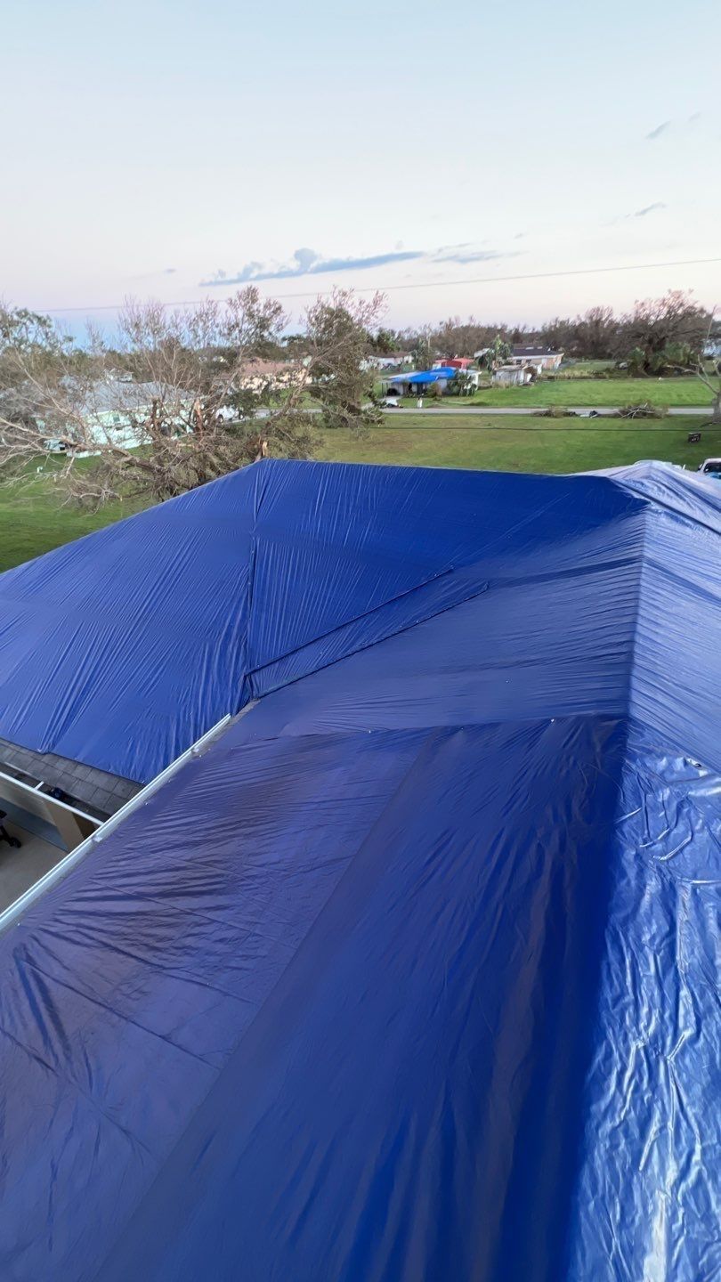 tarp