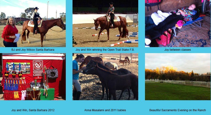 Rockwood Glen Farm - Horseback Riding - Sacramento, CA