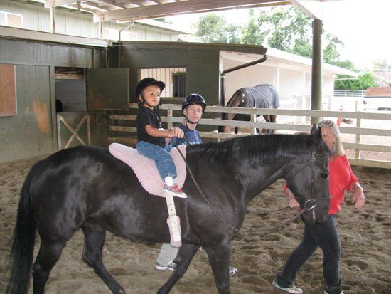 Horse Farm/Horse Boarding - Sacramento, CA - Rockwood Glen Farm