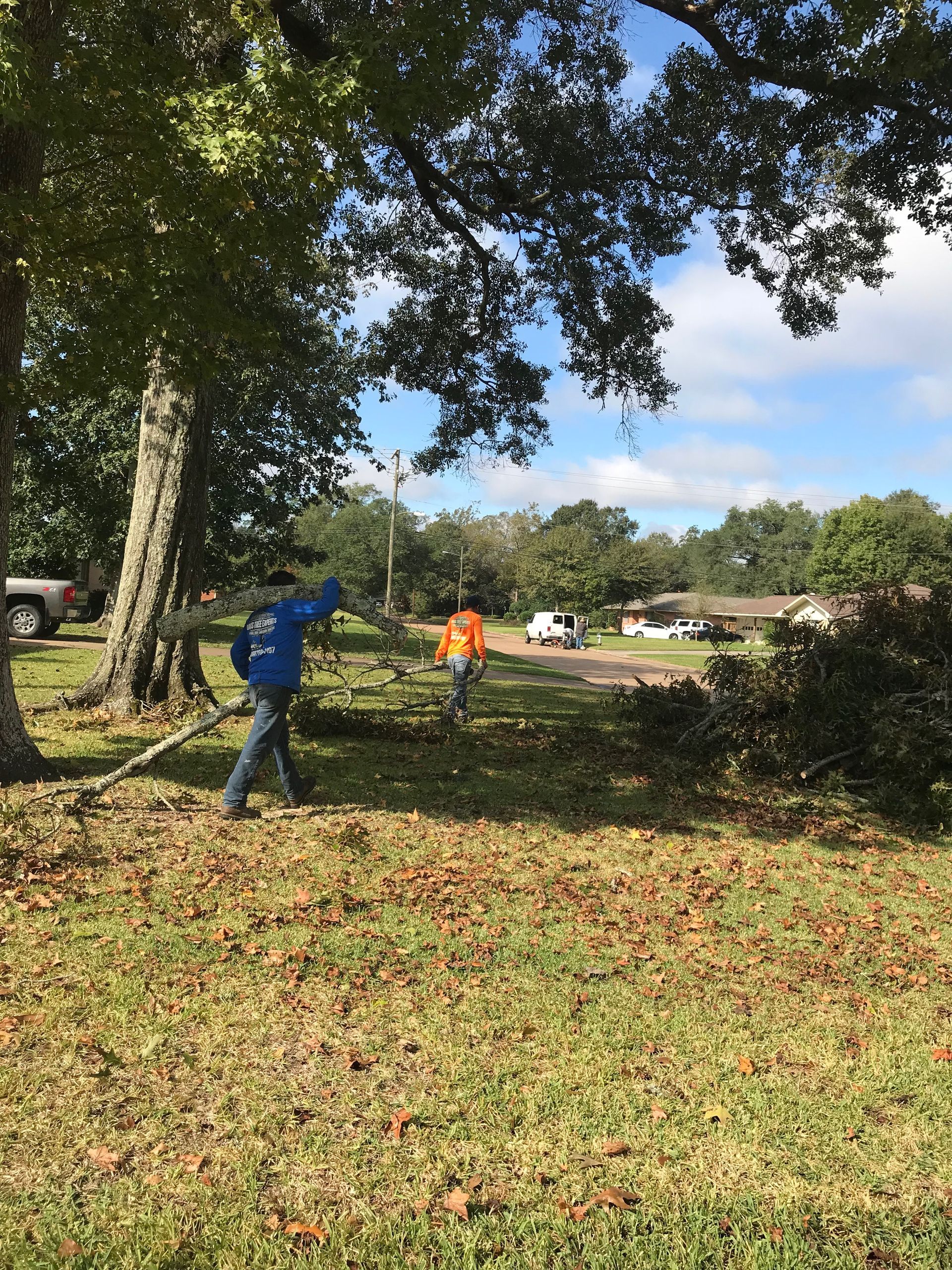 a man is standing in a grassy field with a tree in the background
