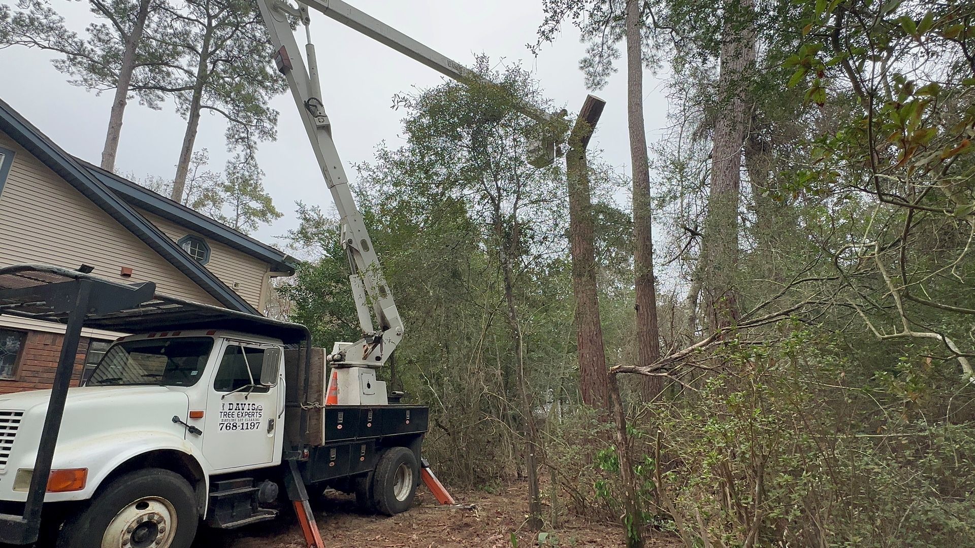 a tree trimming truck is cutting a tree in front of a house