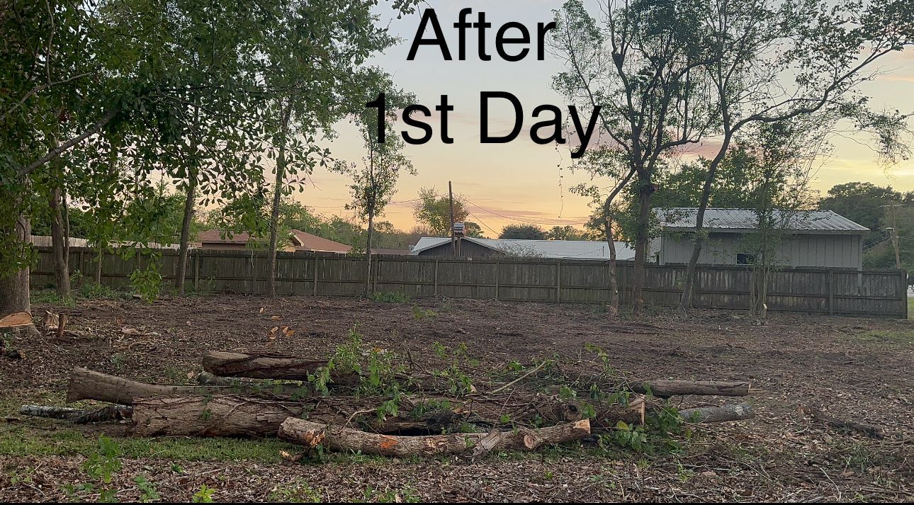 a picture of a yard after the first day of work