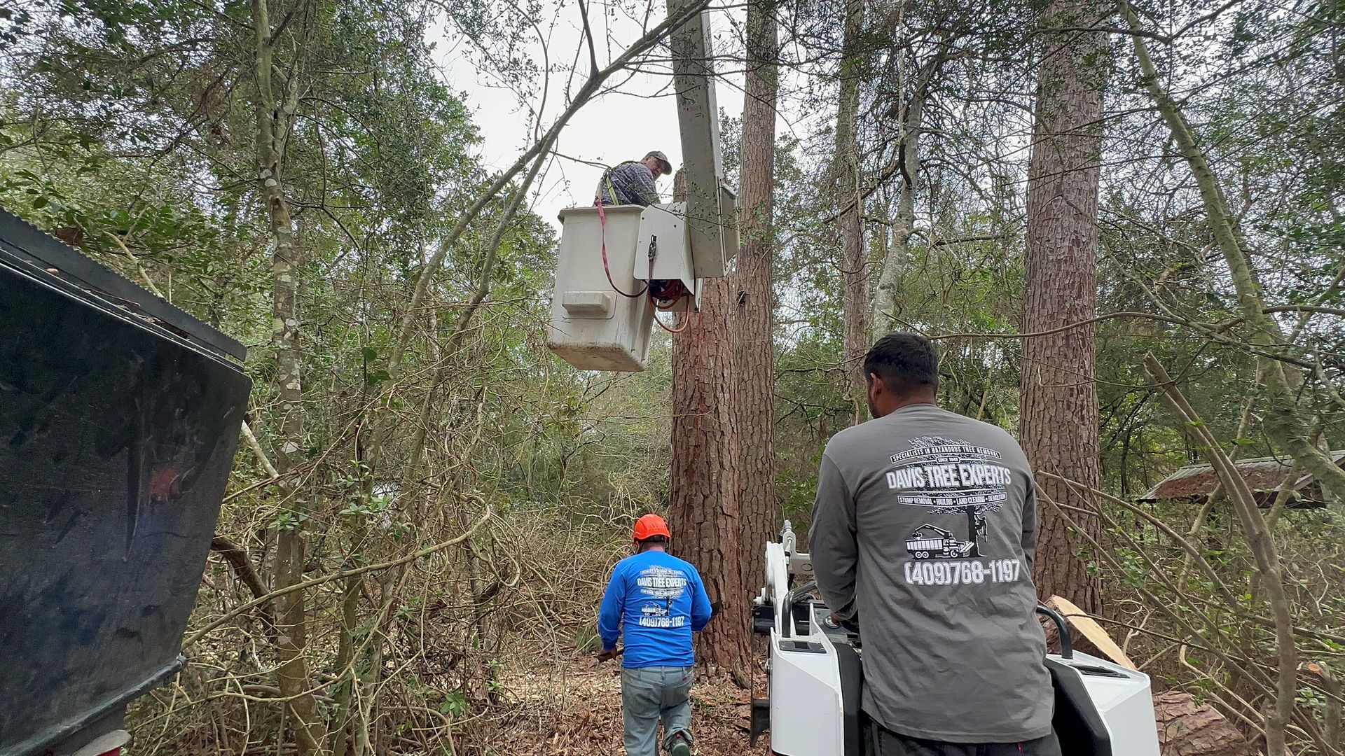 a man in a bucket is cutting a tree in the woods .