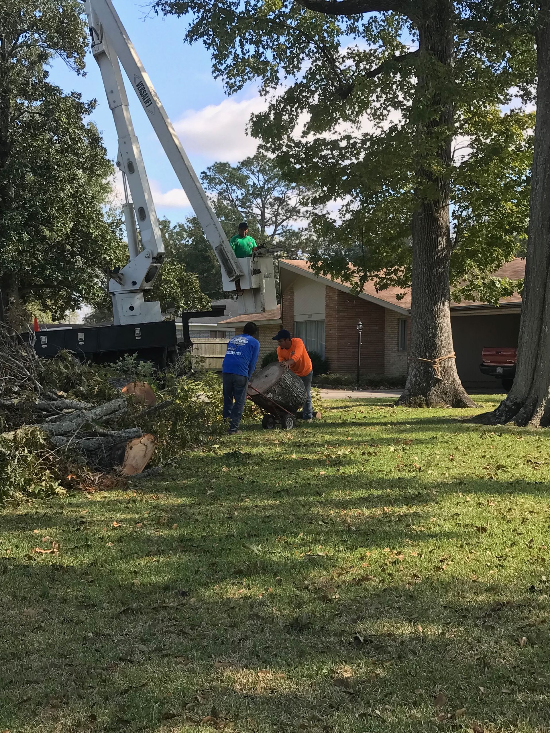 two men are cutting a tree in a yard with a crane
