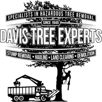 Davis Tree Experts Logo